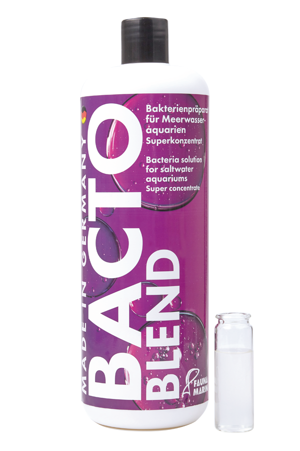 Bacto Reef Blend Marine Fauna Marin 250 ML