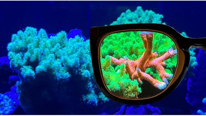 Lunettes pour voir les coraux Aqua Medic