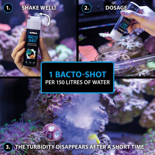 Bacto Shot – 50 ml – Arka