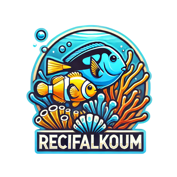 Recifalkoum