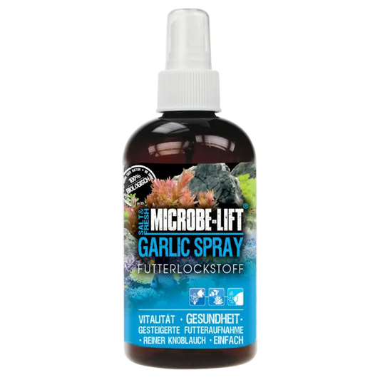 Ail – Additif alimentaire (100ml) Microbe Lift