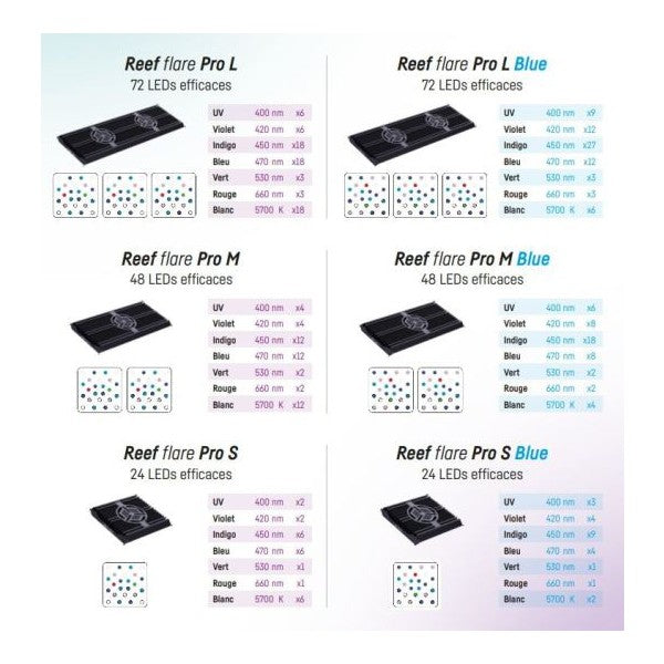 REEF FLARE PRO & BLUE – M